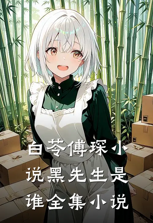白苓傅琛小说黑先生是谁全集小说