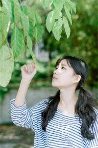 圆周无尽情有终在线看