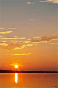 深情男友是演的？他拿我当塘宠精品选集