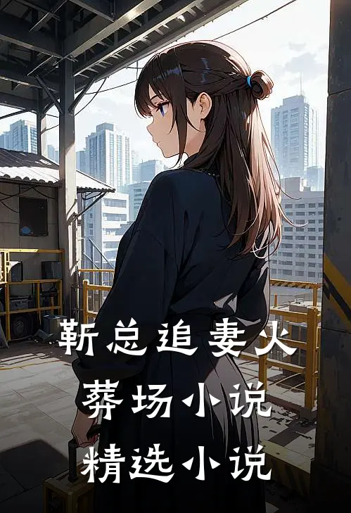 靳总追妻火葬场小说精选小说