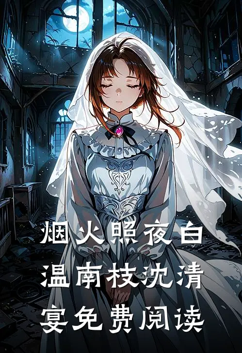 烟火照夜白温南枝沈清宴免费阅读