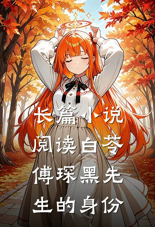 长篇小说阅读白苓傅琛黑先生的身份